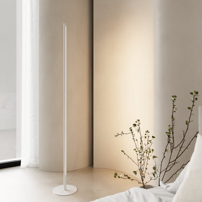 Minimalist LED Floor Lamp with Remote Control | Modern Standing Light for Living Room