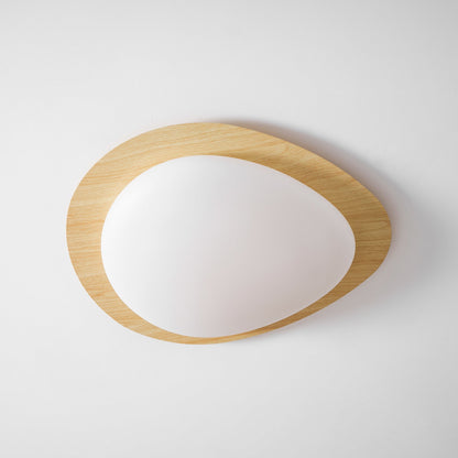 Modern Ceiling Lamp | LED Flush Mount Light for Bedroom and Living Room
