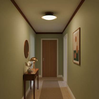Modern Dome Ceiling Light | Minimalist LED Ceiling Lamp for Living Room