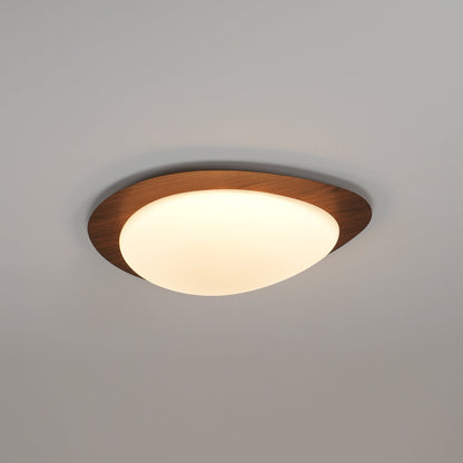 Modern Ceiling Lamp | LED Flush Mount Light for Bedroom and Living Room
