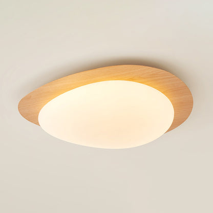 Modern Ceiling Lamp | LED Flush Mount Light for Bedroom and Living Room