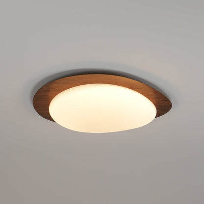Modern Ceiling Lamp | LED Flush Mount Light for Bedroom and Living Room