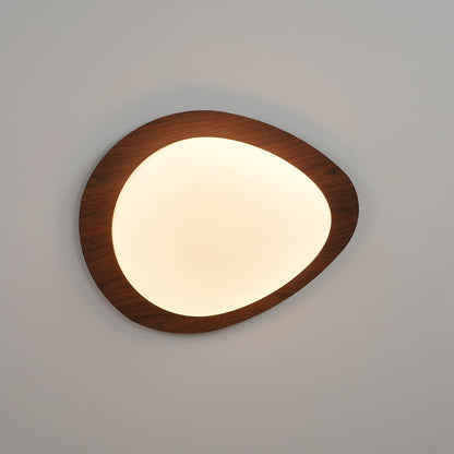 Modern Ceiling Lamp | LED Flush Mount Light for Bedroom and Living Room