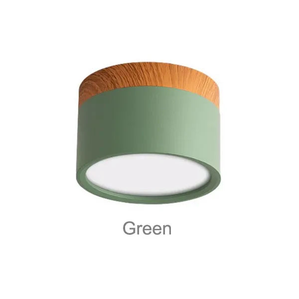 Surface Mounted LED Ceiling Spotlight | Modern Round Flush Mount Lamp for Rooms