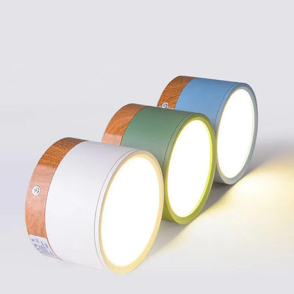 Surface Mounted LED Ceiling Spotlight | Modern Round Flush Mount Lamp for Rooms