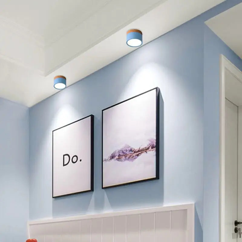 Surface Mounted LED Ceiling Spotlight | Modern Round Flush Mount Lamp for Rooms