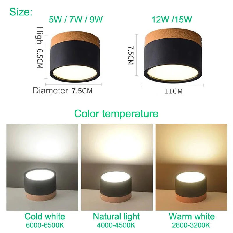 Surface Mounted LED Ceiling Spotlight | Modern Round Flush Mount Lamp for Rooms