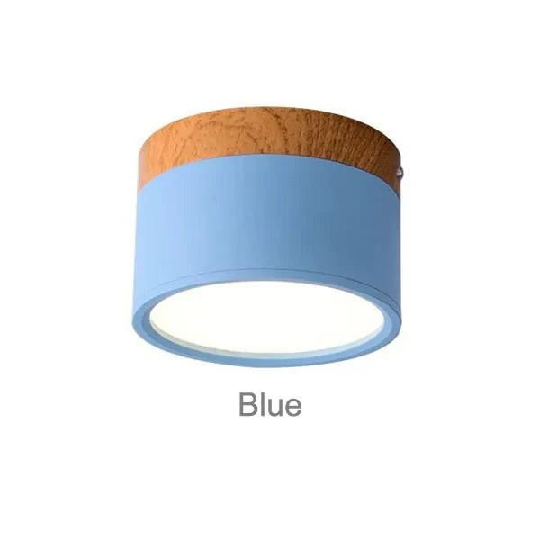 Surface Mounted LED Ceiling Spotlight | Modern Round Flush Mount Lamp for Rooms