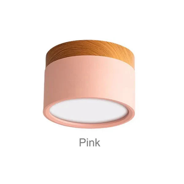 Surface Mounted LED Ceiling Spotlight | Modern Round Flush Mount Lamp for Rooms
