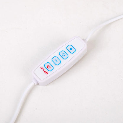 Natural Amethyst Desk Lamp | Calming Crystal Light for Bedroom or Living Room