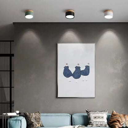Surface Mounted LED Ceiling Spotlight | Modern Round Flush Mount Lamp for Rooms