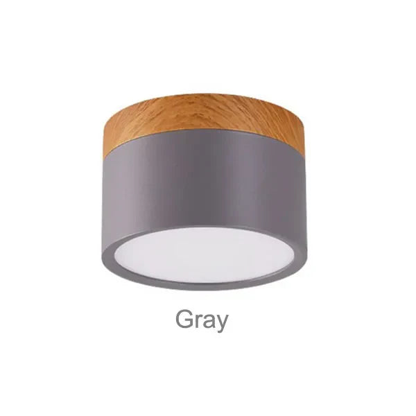 Surface Mounted LED Ceiling Spotlight | Modern Round Flush Mount Lamp for Rooms