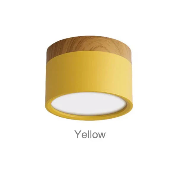 Surface Mounted LED Ceiling Spotlight | Modern Round Flush Mount Lamp for Rooms