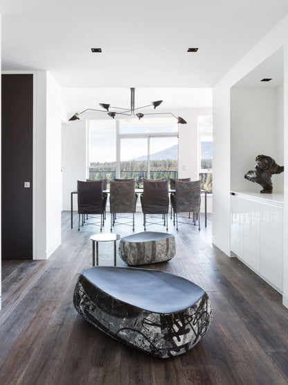 Modern Multi Arm Ceiling Lamp | Adjustable Chandelier for Living Room and Dining