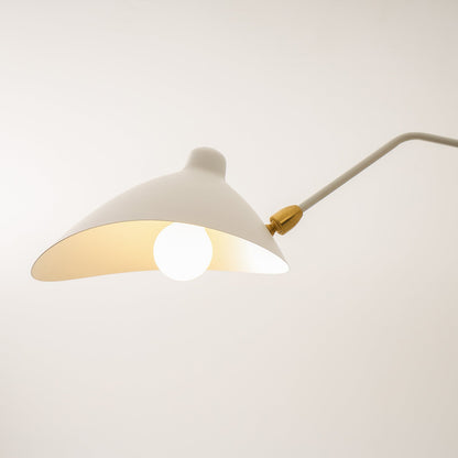 Modern Multi Arm Ceiling Lamp | Adjustable Chandelier for Living Room and Dining