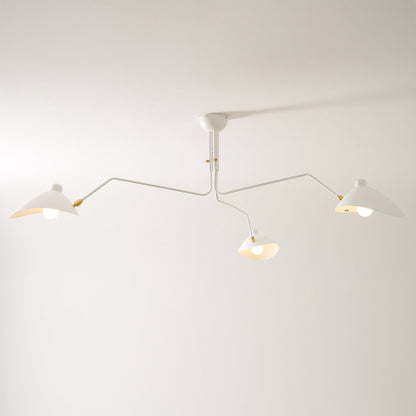 Modern Multi Arm Ceiling Lamp | Adjustable Chandelier for Living Room and Dining