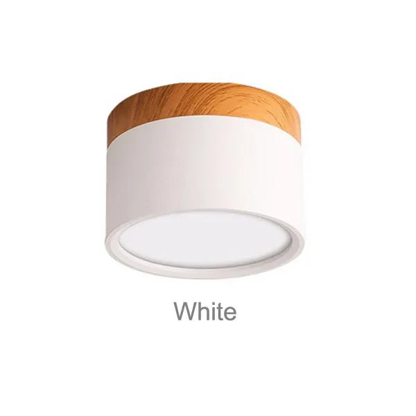Surface Mounted LED Ceiling Spotlight | Modern Round Flush Mount Lamp for Rooms