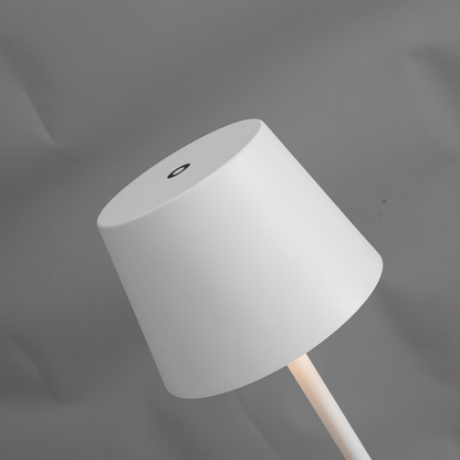 Rechargeable LED Floor Lamp | Adjustable Height Modern Standing Light
