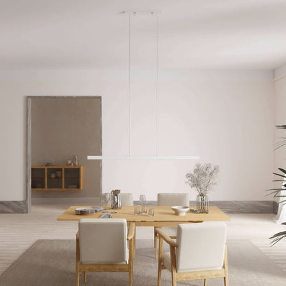 Minimalist Pendant Ceiling Light for Dining Room | Modern LED Hanging Lamp