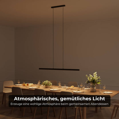 Minimalist Pendant Ceiling Light for Dining Room | Modern LED Hanging Lamp