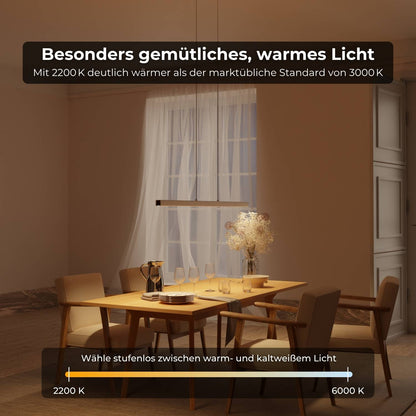 Minimalist Pendant Ceiling Light for Dining Room | Modern LED Hanging Lamp