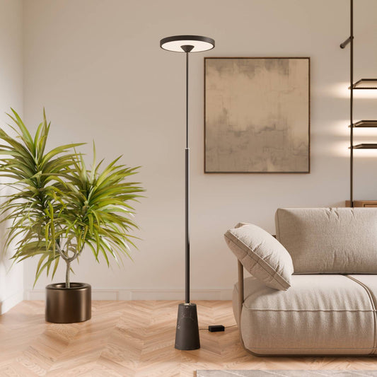 Modern Black Floor Lamp with Round Head | Elegant Standing Lamp for Living Room