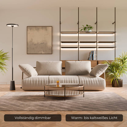Modern Lantern Style Floor Lamp with Round Head | Elegant Standing Light for Living Room