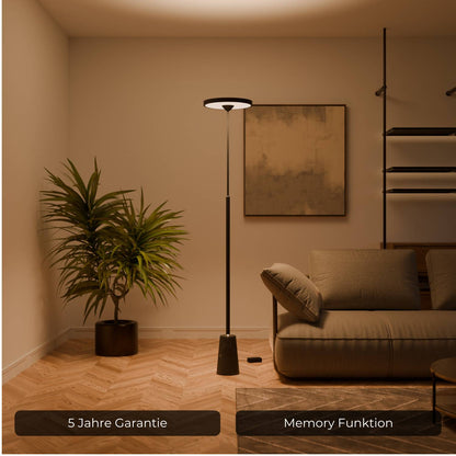 Modern Lantern Style Floor Lamp with Round Head | Elegant Standing Light for Living Room