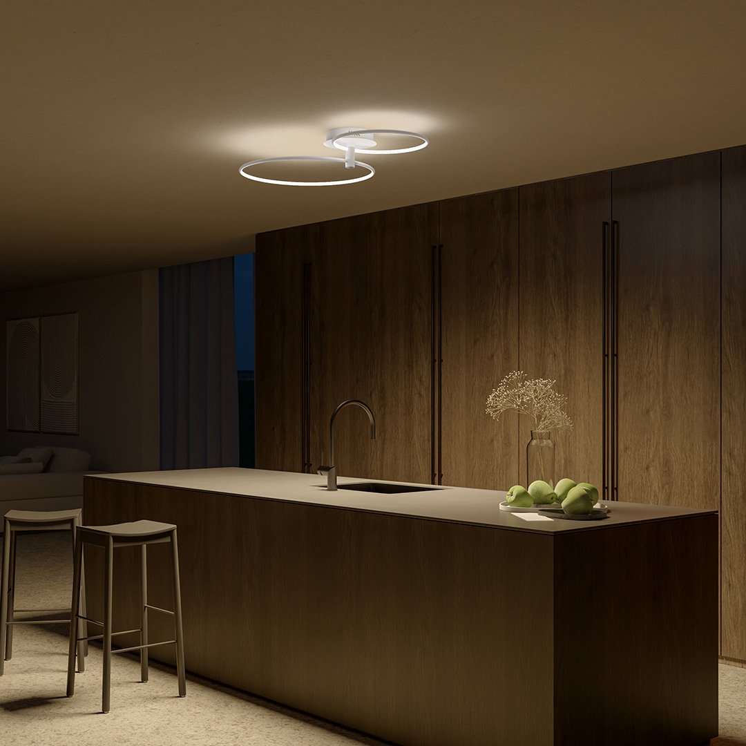 Modern Double Ring LED Ceiling Light | Dimmable Bedroom Living Room Lamp